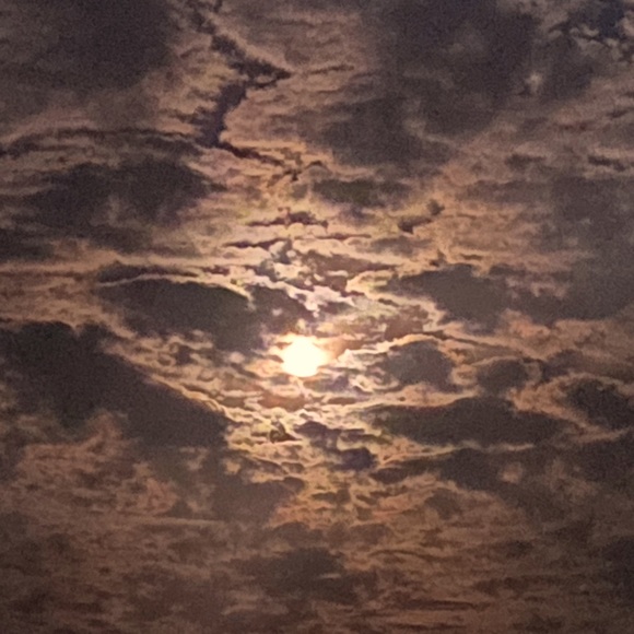 Moon Over Tampa Bay - Picture 1 of 1